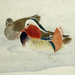 Gyokusei Mochizuki Gallery